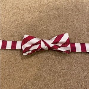 Boys bow tie